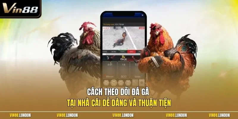 Cách theo dõi đá gà tại nhà cái dễ dàng và thuận tiện