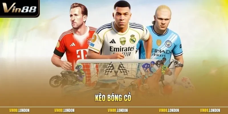 kèo bóng cỏ