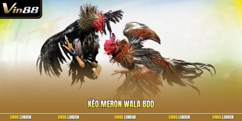 Kèo Meron Wala BDD