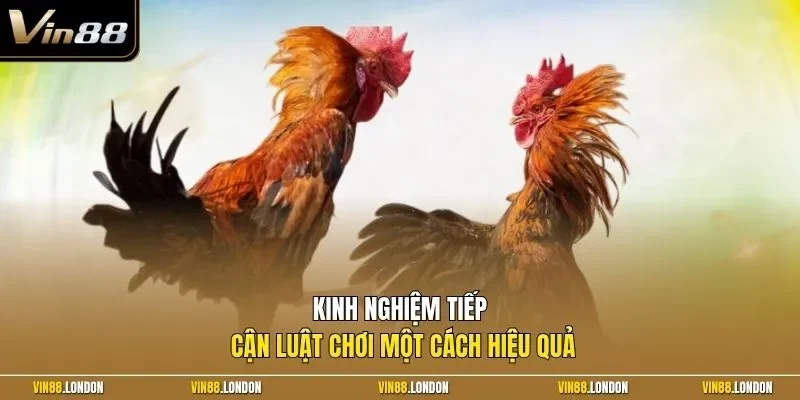Kinh nghiệm tiếp cận luật chơi một cách hiệu quả