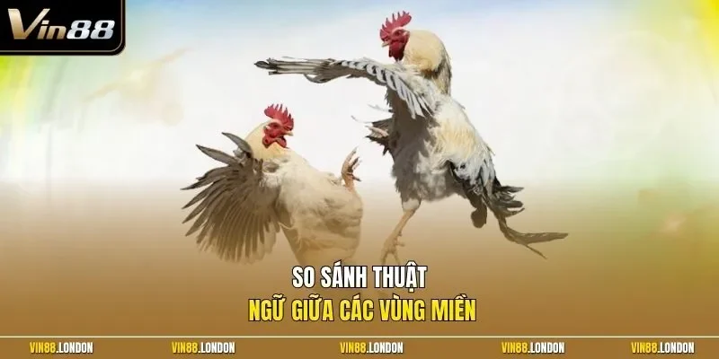 So sánh thuật ngữ giữa các vùng miền 