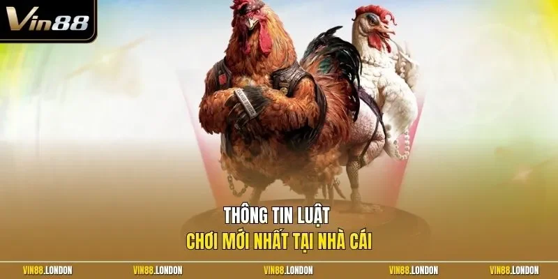 Thông tin luật chơi mới nhất tại nhà cái